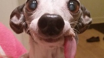 Voici une nouvelle vidéo de notre ordissinaute Doris. Un véritable plaisir de voir toutes ces vidéos chaque semaine !