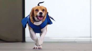 DANYS ET ODERAY VOUS PROPOSENT UNE VIDÉO DONT L'ACTEUR PRINCIPAL MÉRITE D'ÊTRE CONNU, RECONNU ET FÉLICITÉ !