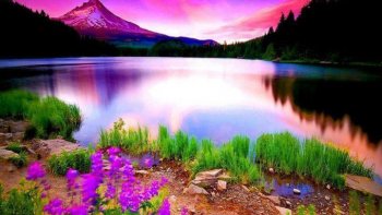 Bonjour,
installez vous dans votre fauteuil,
mettez l'image en grand écran
et laissez vous porter au dessus du monde.
Imaginez que vous êtes un oiseau 
et admirez la planète Terre.
Tenons nous virtuellement la main
en une ronde fraternelle ....
soyons "ZEN " pour une ballade magique
par delà les continents.

amitiés (doris et Charlotte )

BONNE FETE À TOUTES LES MAMANS - un peu en retard. Mais la fête des mères devrait être tous les jours n'est-ce pas ? 
