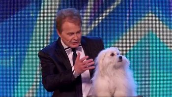 Un spectacle étonnant diffusé lors de l'Incroyable Talent en Angleterre... Qui a le plus de talent : le maître ou le chien ?