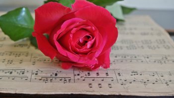 CHARLOTTE  ET DORIS  vous proposent ce concert enchanteur pour débuter la nouvelle  année en espérant qu'elle vous soit le plus agréable possible ...
mettez en grand écran ...et écoutez...