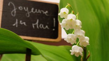 Que cette petite video vous apporte un peu de douceur que les clochettes nous portent bonheur...
Patientons encore  avant de retrouver un peu plus de liberté.
Mais surtout restez prudents et prenez soin de vous...
Amicalement :D