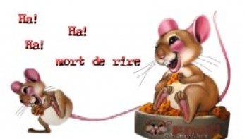 Quelques bêtises    pas toujours  soft ,ni cool   ,,mais bon  ,!!!
,ce n'est pas moi l'auteur  et j'ai épuré un peu ..mais pas trop )!!!!

c'est juste pour terminer les vacances et garder le sourire ,,,
DEMAIN , c'est la rentrée!!......... 


source  internet  ( site  humour en vrac !)