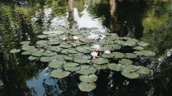 Le choix des mots.....l'imagination   crédule......Bref une bonne petite histoire, !qui n'a pas pris l'eau !