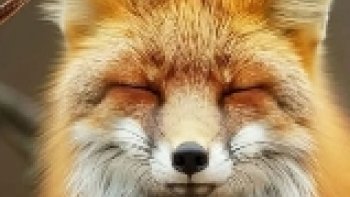 **TOUTES les ESPÈCES de CANIDÉS! 😍🐺 (+30 espèces!) 

une petite vidéo de 20 minutes ,,,,prenez votre temps ..merci bonne journée