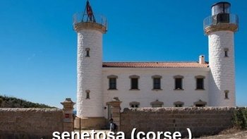 Pour faire suite à la demande d'une ordissinaute,,,voici quelques un de ces beaux gardiens de la mer et des océans

à lire en grand écran,,,