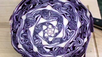 Merci à ViVi  de partager ce joli diapo avec nous ,,,

les jardins recèlent des formes géométriques qui donnent aux plantes une autre dimension .