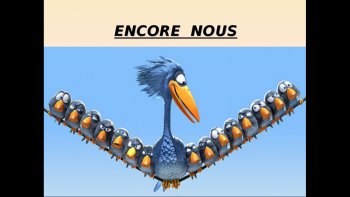  LES ZOZIAUX SONT DE RETOUR, avec notre ami jb44, admirez ces belles images !