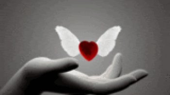 le blanc est-il une couleur ?ce champ chromatique, sans aucune teinte dominante, s'incline sur différentes nuances:ivoire, argent, céruse,crème, de lait, de platine, En fait est composé de toutes les couleurs du spectre soit lumière blanche, composée des sept couleurs de l'arc en ciel(dont des trois couleurs primaires).le blanc est la couleur de la spiritualité:symbole pureté, innocence, etc.....Une des premières couleurs de l'humanité avec le rouge et le noir..(obtenue par pigments