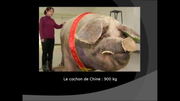   Voici quelques PHOTOS SANS RETOUCHE.