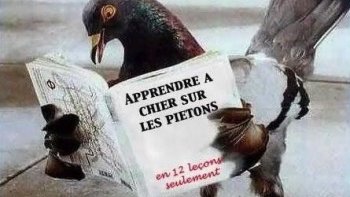 Du temps où les animaux parlaient.....  et pensaient  tout  haut....
Je vous laisse en leur compagnie divertissante.....
