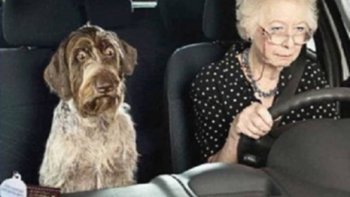 j'en connais qui  vont avoir  des regrets........Tout  se  paye!