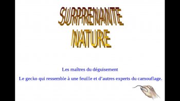 
Dans la nature, sur terre, dans l'eau ,dans les arbres,des yeux vous fixent ,vous surveillent  mais vous ne les voyez pas ... Des "espions " peu ordinaires usent  d'artifices étonnants pour se protéger des prédateurs ou piéger leurs proies ..certaines images déjà vues... d'autres pas ...(Avec l'aimable participation de Charlotte) 