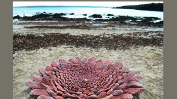 je vous invite à partager l'univers artistique d'un  créateur  qui utilise des galets pour composer d'immenses tableaux sur la plage ,,,
