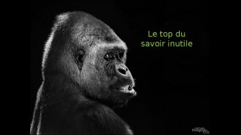 Voici le diaporama qui fait suite au diaporama des anecdotes insolites publié hier.