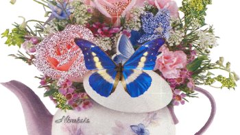 L'incorrigible TOTO revient  pour nous titiller.......