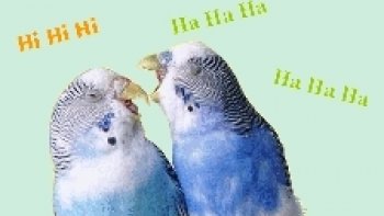 Une petite série  humoristique... quelques images déjà vues... parfois oubliées !