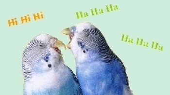 Mes amis  ne m'en veuillez pas ,,mais parfois je suis un peu coquine ,,,
les réveillons sont annulés ,,pas de fiesta ...alors je me lâche un peu 
quitte à recevoir  des commentaires offusqués..mais la vie vaut  un grand sourire ,,NON?.

je ne suis pas toujours sérieuse ,,,heureusement ,,,!!  