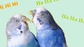 juste pour quelques sourires 