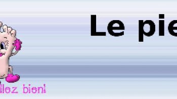 quelques expressions imagées  ...partagées avec JB44...

