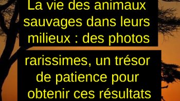 JE N'AI RIEN À DIRE...JUSTE   OUVREZ LES YEUX  ET MERCI AUX PHOTOGRAPHES.