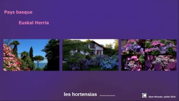 source internet ...
je vous propose quelques images magnifiques ,dans une region non moins magnifique..où les" Hortensias"  font leur  show....

