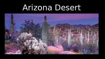 doris, Louisette et Poupette vous emmènent  aux U S A, préparez vos montures, pour une ballade en Arizona, le désert recèle des merveilles...
Plein les yeux... plein soleil... fleurs, oiseaux, des couleurs,senteurs qui varient avec le soleil... à la tombée du jour ça devient féerique...
il ne manque que les "indiens " ....