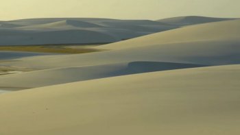 LE DÉSERT BRÉSILIEN