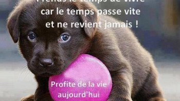 Un ensemble de blagues racontées par notre ordissinaute Jeanneton qui a visiblement beaucoup d'humour !