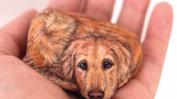 parfois, il ne faut pas grand chose, pour  nous  faire  rire, ou  sourire