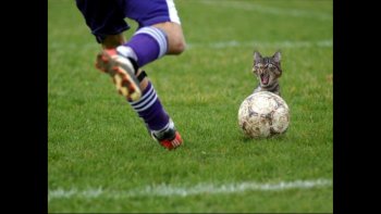 Âmes sensibles s'abstenir!Des situations où l'on envie de crier:NOON  .........NON  ! ATTENTION...........!