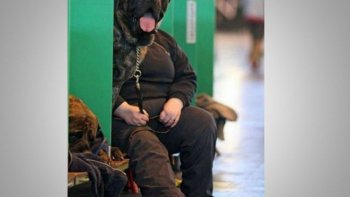 Il faut du talent et de l'humour (parfois grivois )  pour  fixer l'instantané  ....

et tant pis pour les  retombées ..OUPS 