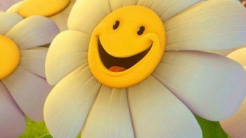 Elles sont trés mignonnes......vraiment!