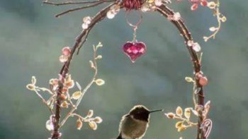 je vous invite à faire un voyage en quelques minutes...
installez vous bien et laissez vous aller sur grand écran.