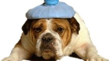 BONJOUR ... voici des petits trucs  de "grand mère"proposées par des internautes ... on ne peut en assurer la fiabilité ... mais, nous pouvons toujours essayer.....
