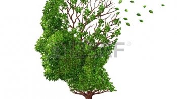 Les conseilleurs ne sont pas toujours les payeurs.....mais parfois un conseil peut aider.....