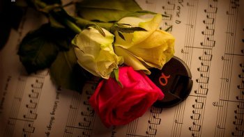 Notre ordissinaute Jeanneton souhaite faire passer un message très important pour notre belle communauté.