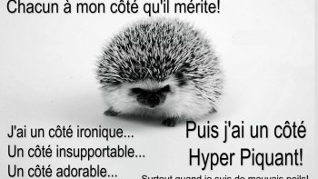 Notre ordissinaute NINI-70 avait mis sa vidéo dans diaporama. Or il ne s'agissait pas d'un diaporama mais d'une vidéo (cela explique pourquoi vous n'avez pu voir qu'une seule photo). Voici donc la vidéo pour découvrir les merveilleux paysages de la Haute-Saône.