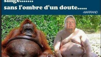 QUE LA JOIE ET LA BONNE HUMEUR RÈGNE....