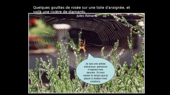 Et si les animaux parlaient ? Voici quelques réflexions amusantes qu'ils énonceraient...
Peut-être...  