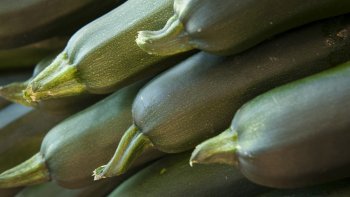 La courgette, est un légume croquant venu du sud. Les courgettes avec les aubergines sont parmi les meilleurs légumes d'accompagnement que l'on puisse imaginer. Mais les courgettes sont également un excellent plat principal ! 