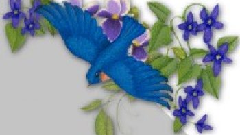 Dans l'antiquité, l'oiseau bleu était le messager du bonheur....