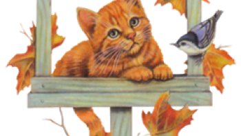 voici un très beau texte de notre amie minou !