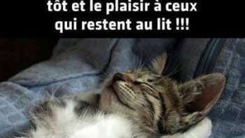 Le doute est le commencement de la sagesse !