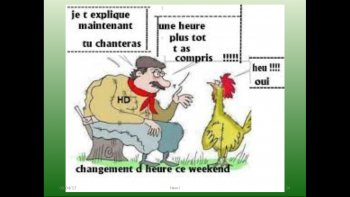 Quelques phrases humoristiques, pas toujours dénuées de bon sens...