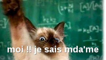 juste pour passer un peu de temps ensemble ....