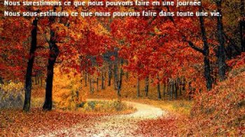A l'automne des saisons, ce sont les feuilles qui meurent. A l'automne de la vie, ce sont nos souvenirs*.