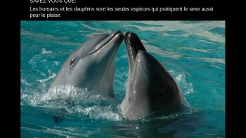 Quelques precisions  sur  les comportements  des etres qui peuplent notre TERRE...