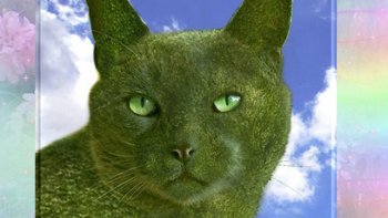 je vous propose une belle découverte....
L'imagination de l'artiste égale son talent ,,,