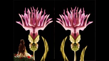 Original,chaque fleur représente une forme humaine.......